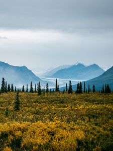 Preview wallpaper valley, bushes, landscape, trees, mountains