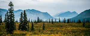 Preview wallpaper valley, bushes, landscape, trees, mountains