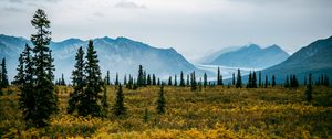 Preview wallpaper valley, bushes, landscape, trees, mountains