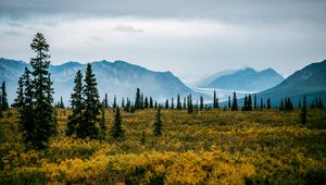 Preview wallpaper valley, bushes, landscape, trees, mountains