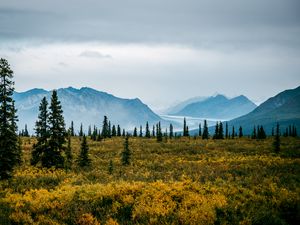 Preview wallpaper valley, bushes, landscape, trees, mountains