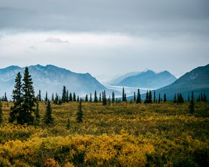 Preview wallpaper valley, bushes, landscape, trees, mountains