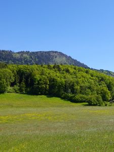 Preview wallpaper valley, field, mountains, trees, landscape