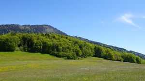 Preview wallpaper valley, field, mountains, trees, landscape