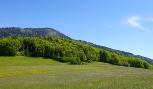 Preview wallpaper valley, field, mountains, trees, landscape