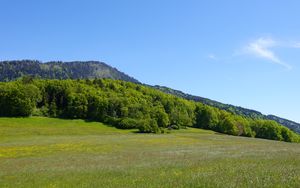 Preview wallpaper valley, field, mountains, trees, landscape