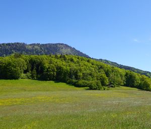 Preview wallpaper valley, field, mountains, trees, landscape