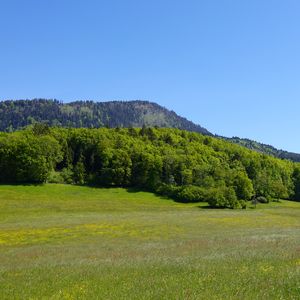 Preview wallpaper valley, field, mountains, trees, landscape