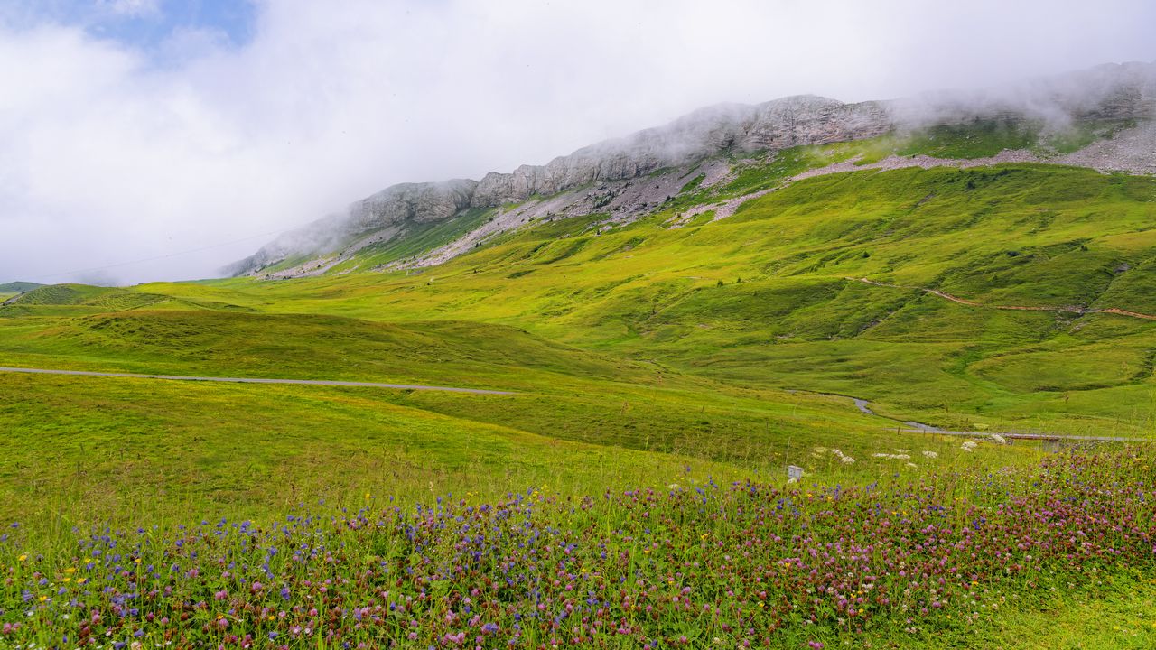 Wallpaper valley, flowers, grass, mountains, landscape