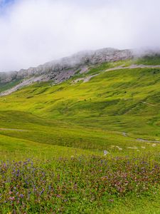 Preview wallpaper valley, flowers, grass, mountains, landscape