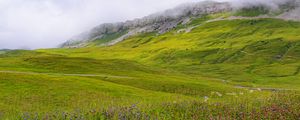 Preview wallpaper valley, flowers, grass, mountains, landscape