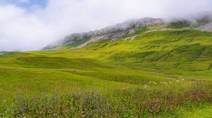 Preview wallpaper valley, flowers, grass, mountains, landscape