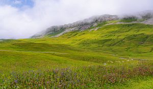 Preview wallpaper valley, flowers, grass, mountains, landscape