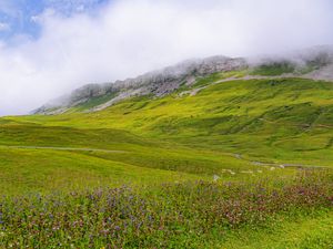 Preview wallpaper valley, flowers, grass, mountains, landscape