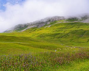 Preview wallpaper valley, flowers, grass, mountains, landscape