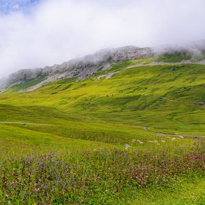 Preview wallpaper valley, flowers, grass, mountains, landscape