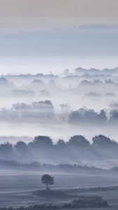 Preview wallpaper valley, fog, trees, sky