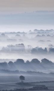 Preview wallpaper valley, fog, trees, sky