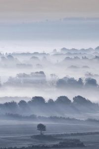 Preview wallpaper valley, fog, trees, sky