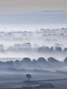 Preview wallpaper valley, fog, trees, sky