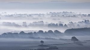 Preview wallpaper valley, fog, trees, sky