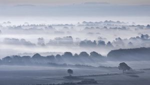 Preview wallpaper valley, fog, trees, sky