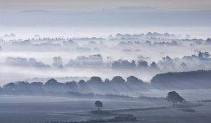 Preview wallpaper valley, fog, trees, sky