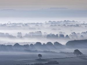 Preview wallpaper valley, fog, trees, sky