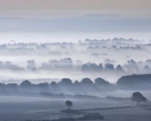 Preview wallpaper valley, fog, trees, sky