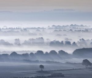 Preview wallpaper valley, fog, trees, sky