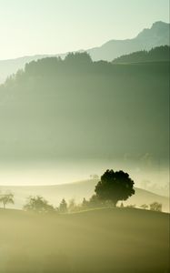 Preview wallpaper valley, fog, trees, mountains