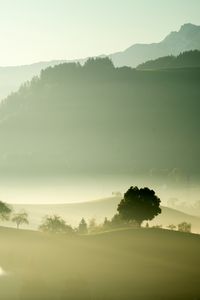 Preview wallpaper valley, fog, trees, mountains