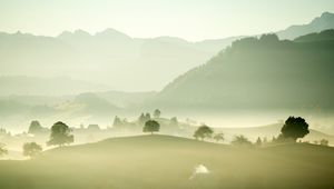 Preview wallpaper valley, fog, trees, mountains