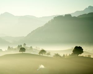 Preview wallpaper valley, fog, trees, mountains