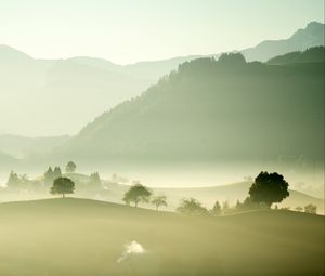 Preview wallpaper valley, fog, trees, mountains