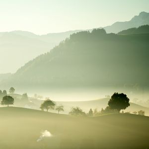 Preview wallpaper valley, fog, trees, mountains