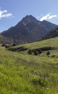 Preview wallpaper valley, grass, mountains, landscape, nature