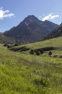 Preview wallpaper valley, grass, mountains, landscape, nature