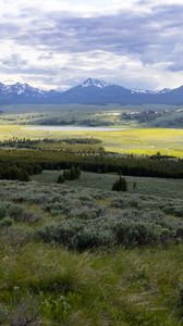 Preview wallpaper valley, grass, trees, mountains, nature