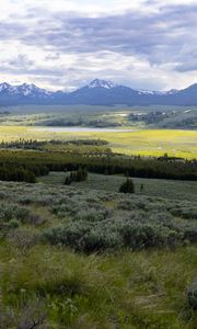 Preview wallpaper valley, grass, trees, mountains, nature