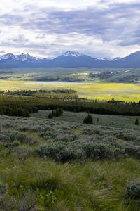 Preview wallpaper valley, grass, trees, mountains, nature