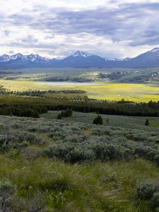 Preview wallpaper valley, grass, trees, mountains, nature