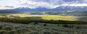 Preview wallpaper valley, grass, trees, mountains, nature