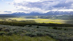 Preview wallpaper valley, grass, trees, mountains, nature