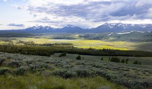 Preview wallpaper valley, grass, trees, mountains, nature