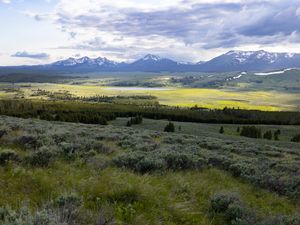 Preview wallpaper valley, grass, trees, mountains, nature