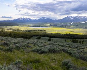 Preview wallpaper valley, grass, trees, mountains, nature