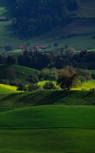 Preview wallpaper valley, green, field, hirzel, switzerland
