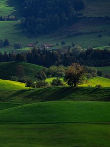 Preview wallpaper valley, green, field, hirzel, switzerland