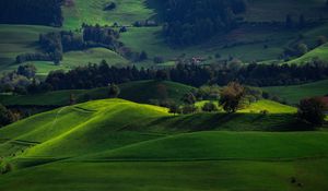 Preview wallpaper valley, green, field, hirzel, switzerland